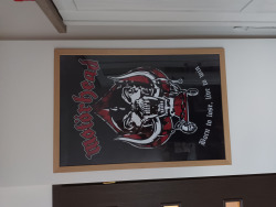 plakat MOTORHEAD - BORN TO LOSE