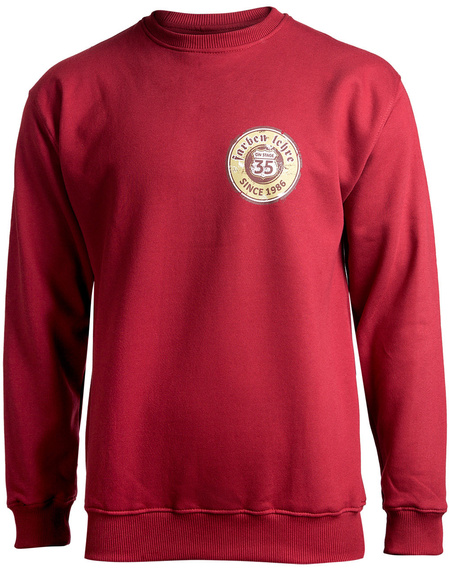 bluza FARBEN LEHRE - 35 ON STAGE