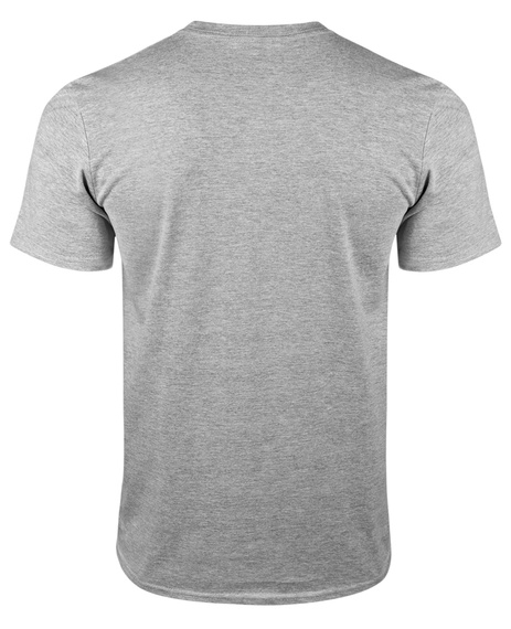 koszulka NASA - INSIGNIA szara