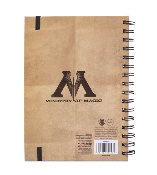 zeszyt HARRY POTTER - HARRY & SIRIUS okładka 3D