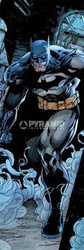 plakat na drzwi BATMAN - PROWL