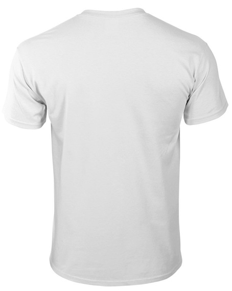 koszulka DESTRUCTION - ALT PHOTO