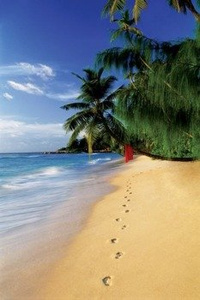 plakat BEACH - FOOTSTEPS