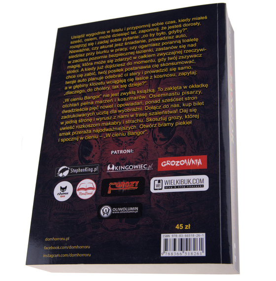 książka W CIENIU BANGOR - Antologia inspirowana prozą Stephena King