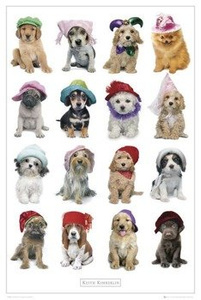 plakat KEITH KIMBERLIN - HATS