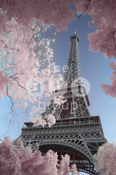 plakat DAVID CLAPP - EIFFEL TOWER INFRARED, PARIS