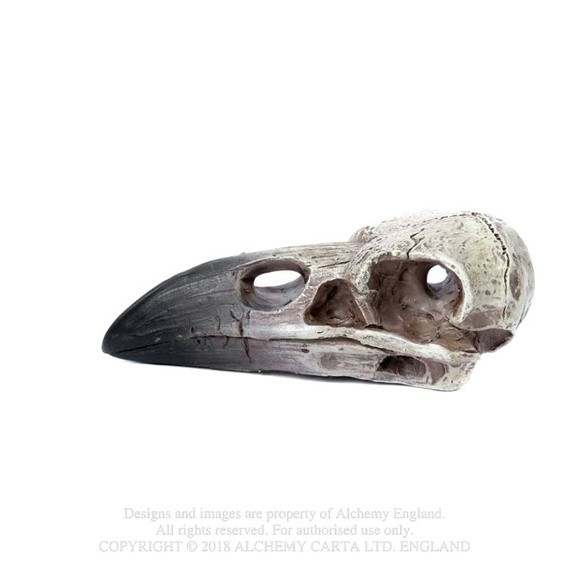 dekoracja SMALL RAVEN SKULL