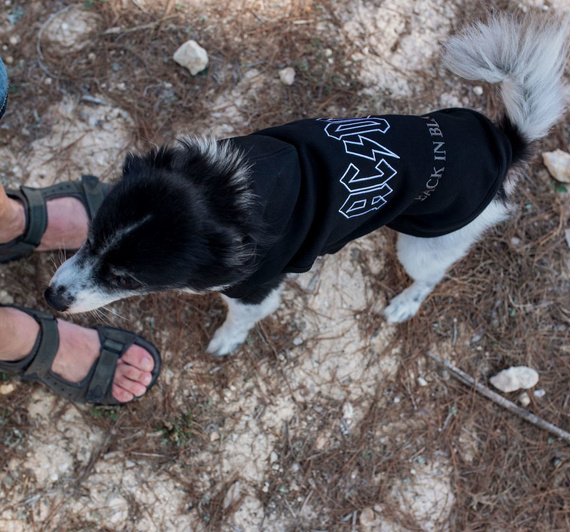 bluza dla psa AC/DC - BACK IN BLACK