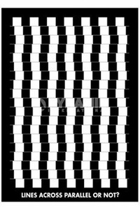 plakat OPTICAL ILLUSION - LINES