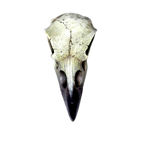 dekoracja SMALL RAVEN SKULL