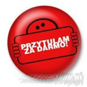 przypinka PRZYTULAM ZA DARMO Ø25mm