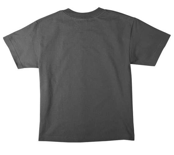 koszulka dla dzieci BRUCE LEE - FURY