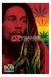 plakat BOB MARLEY - DREADS