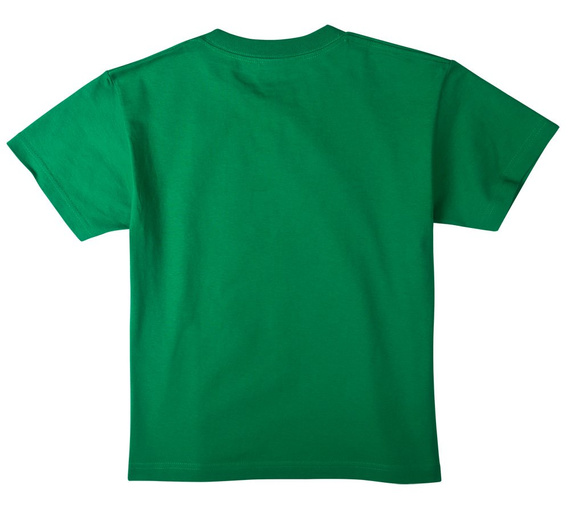 koszulka dla dzieci BRUCE LEE - DOUBLE DRAGONS