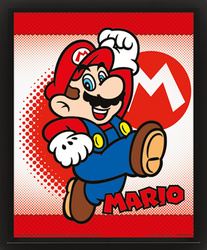 obraz w ramie 3D SUPER MARIO - MARIO YOSHI FLIP 
