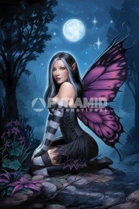 plakat Night Fairy