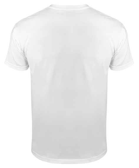 koszulka ALICE IN CHAINS biała