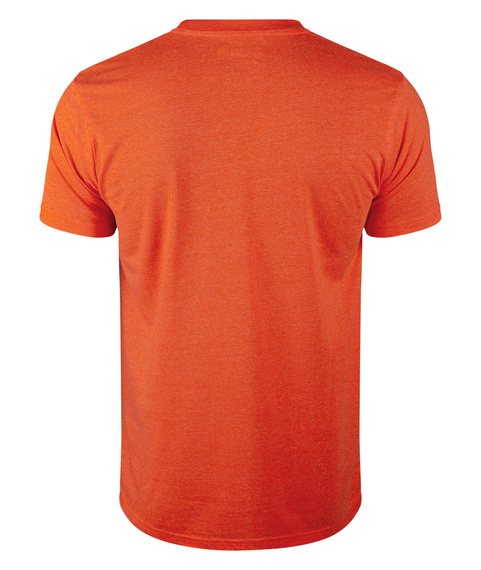 koszulka AEROSMITH - EAGLE