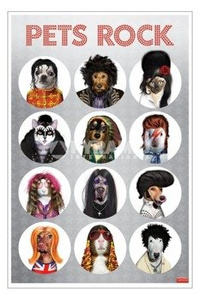 plakat PETS ROCK - TAKKODA