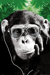 plakat MONKEY - SHADES
