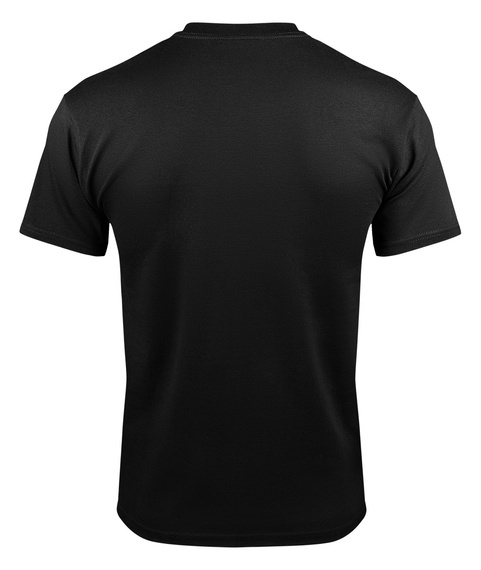 koszulka ZZ TOP - RACE FLAG BLACK