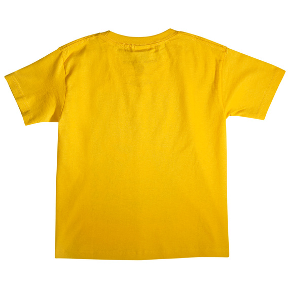 koszulka dla dzieci PINK FLOYD - CARNEGIE HALL POSTER