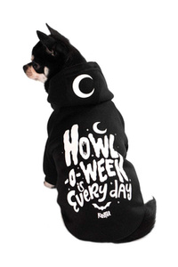 bluza dla psa KILLSTAR - HOWL