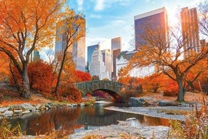 plakat NEW YORK - CENTRAL PARK AUTUMN