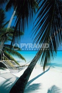 plakat PALM VIEW - HAMMOCK