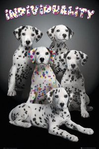 plakat KEITH KIMBERLIN - INDIVIDUALITY