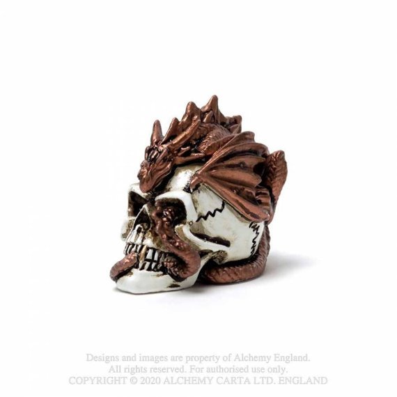 dekoracja DRAGON KEEPER SKULL