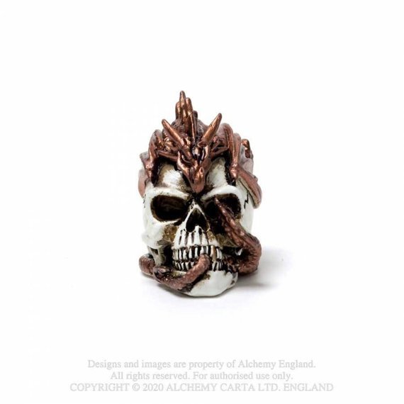 dekoracja DRAGON KEEPER SKULL