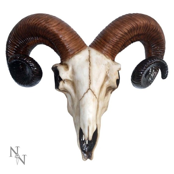 dekoracja RAM'S SKULL