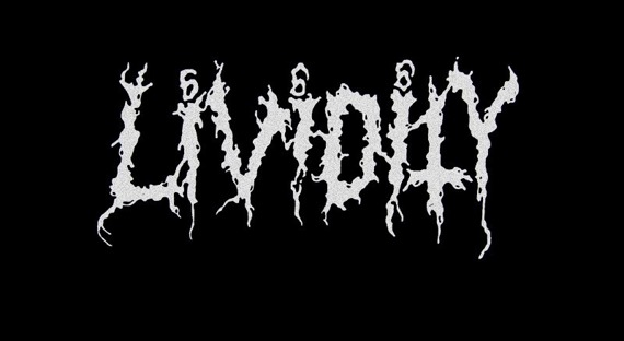 ekran LIVIDITY - LOGO