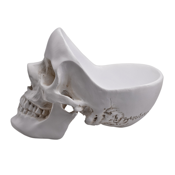 naczynie ozdobne SKULL TIDY WHITE