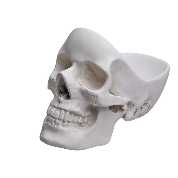 naczynie ozdobne SKULL TIDY WHITE