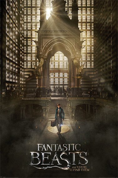 plakat FANTASTYCZNE ZWIERZĘTA/FANTASTIC BEASTS