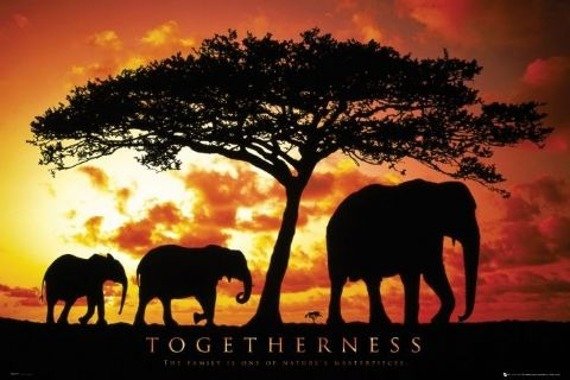 plakat MOTIVATIONAL - TOGETHERNESS