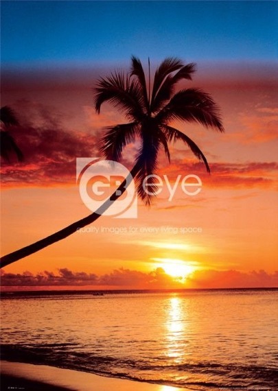 plakat SUNSET AND PALM TREE